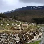 Fossane Gard, Autentiske Gardshus Pa Sauegard * Hjelmeland