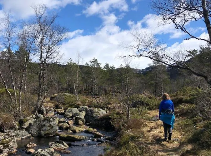 Дом отдыха Fossane Gard, Autentiske Gardshus Pa Sauegard