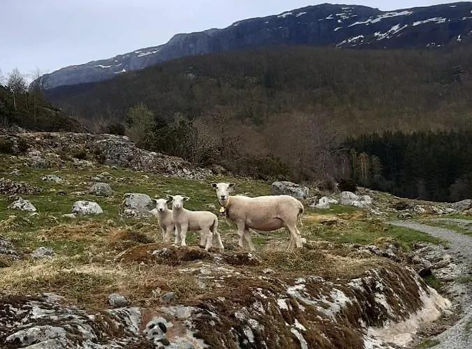 Fossane Gard, Autentiske Gardshus Pa Sauegard * Hjelmeland